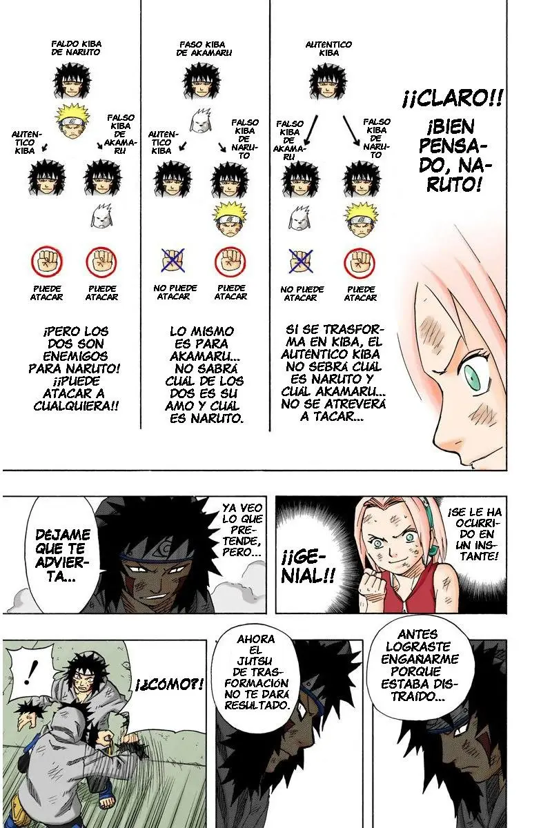 Naruto Color (1999) - Capítulo 76 - Página 17 - LectorTMOo