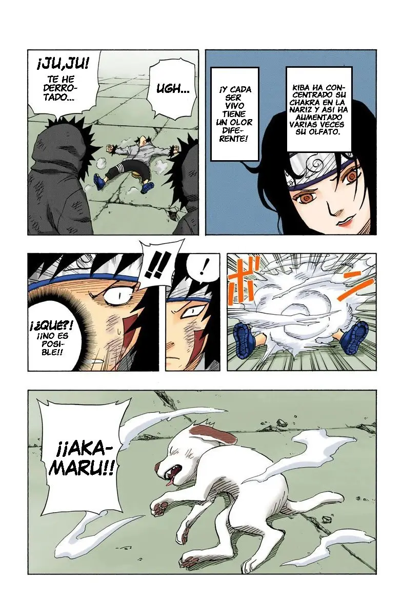 Naruto Color (1999) - Capítulo 76 - Página 19 - LectorTMOo