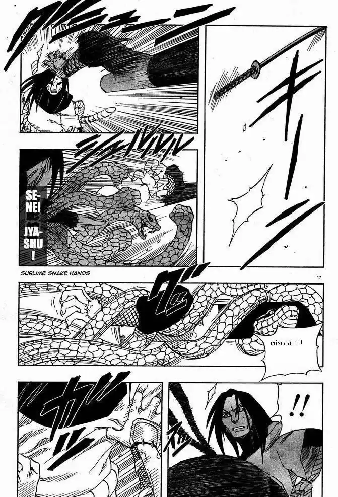 Naruto (1999) - Capítulo 123 - Página 17 - LectorTMOo