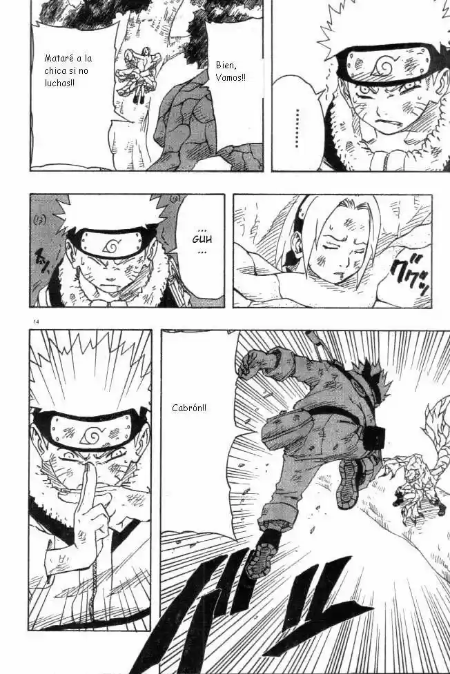 Naruto (1999) - Capítulo 132 - Página 14 - LectorTMOo