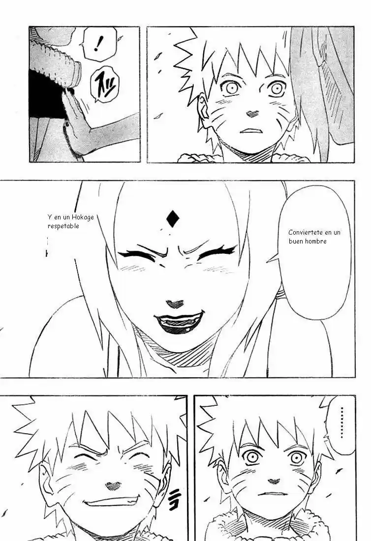 Naruto (1999) - Capítulo 171 - Página 17 - LectorTMOo