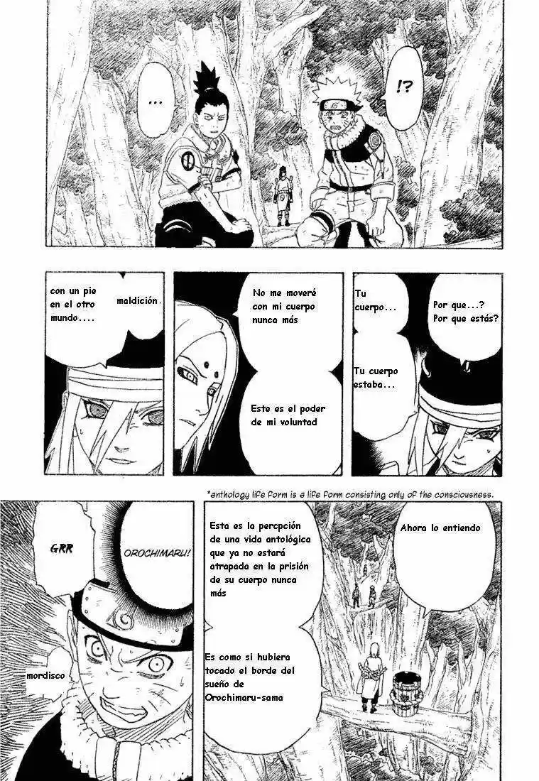 Naruto (1999) - Capítulo 201 - Página 5 - LectorTMOo
