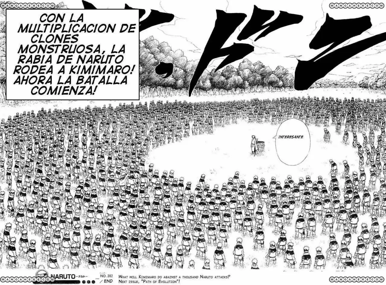 Naruto (1999) - Capítulo 202 - Página 17 - LectorTMOo