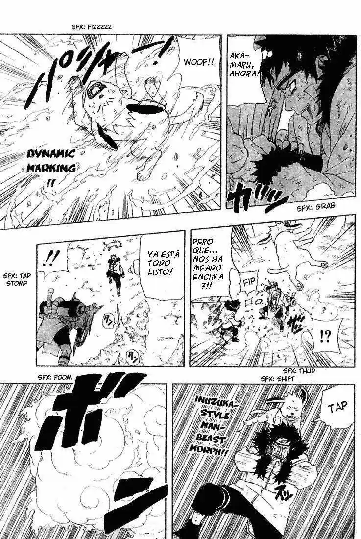 Naruto (1999) - Capítulo 203 - Página 15 - LectorTMOo