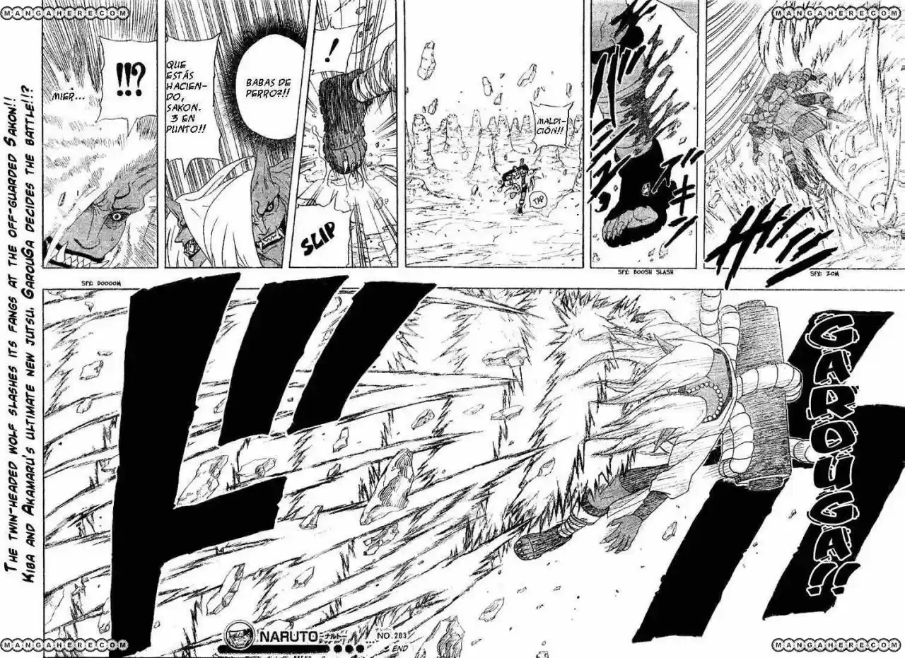 Naruto (1999) - Capítulo 203 - Página 18 - LectorTMOo