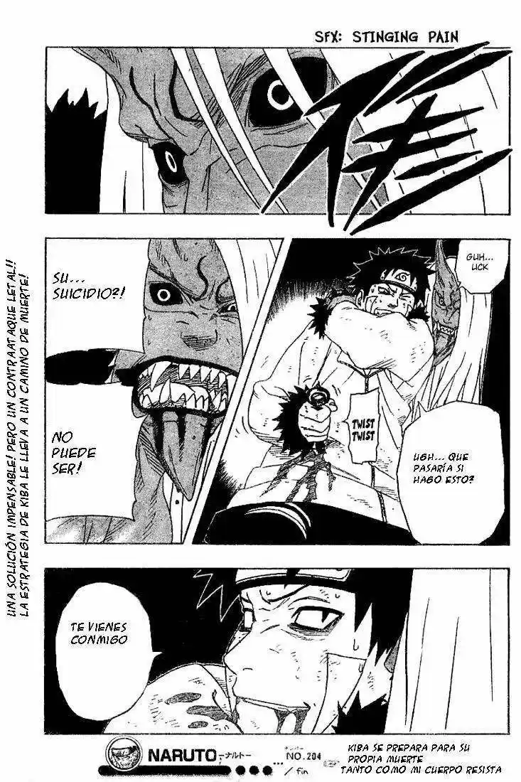 Naruto (1999) - Capítulo 204 - Página 17 - LectorTMOo