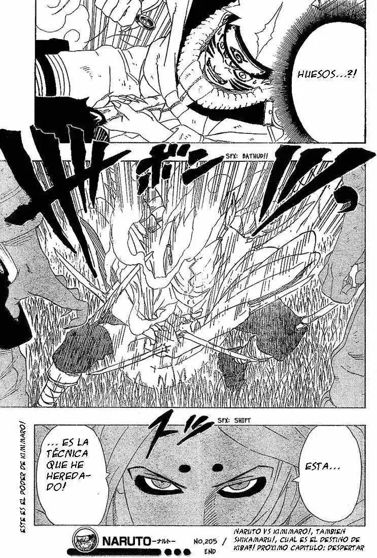 Naruto (1999) - Capítulo 205 - Página 18 - LectorTMOo
