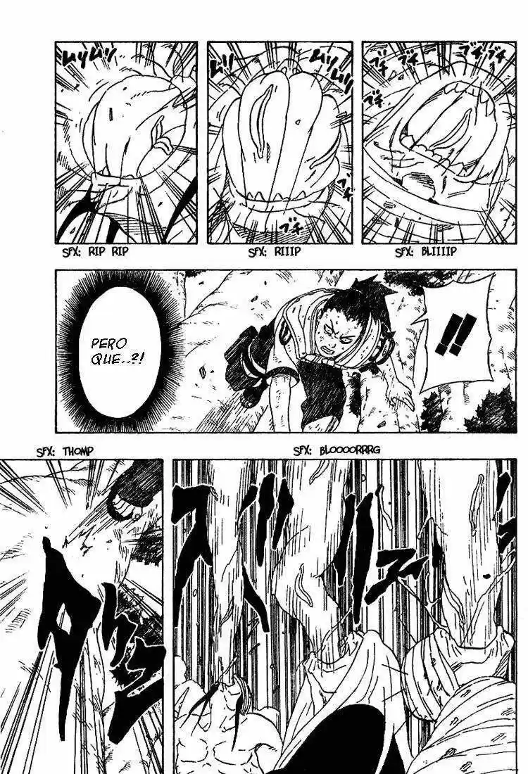 Naruto (1999) - Capítulo 207 - Página 3 - LectorTMOo