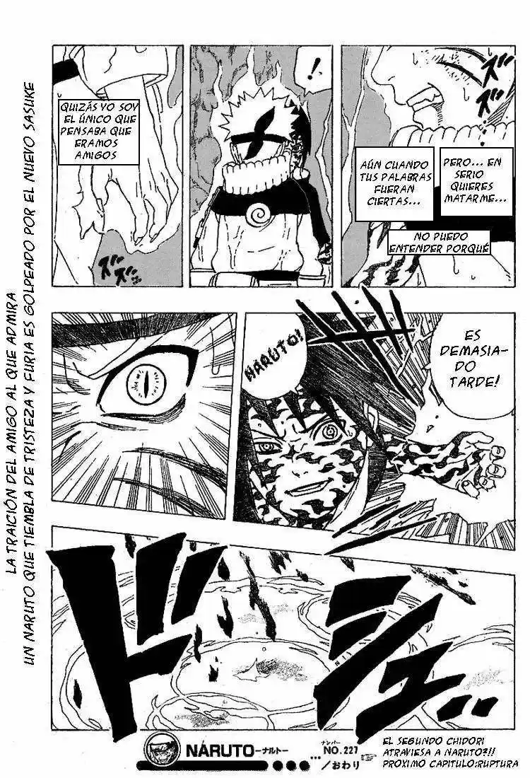 Naruto (1999) - Capítulo 227 - Página 17 - LectorTMOo