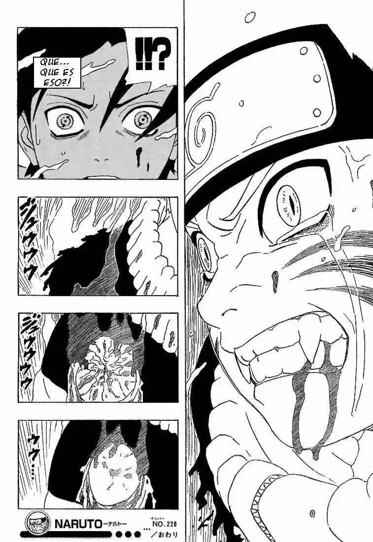 Naruto (1999) - Capítulo 228 - Página 16 - LectorTMOo