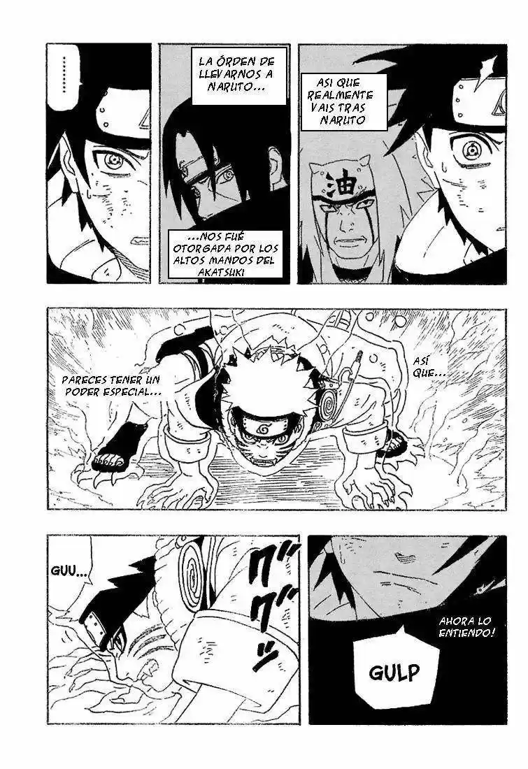 Naruto (1999) - Capítulo 231 - Página 3 - LectorTMOo