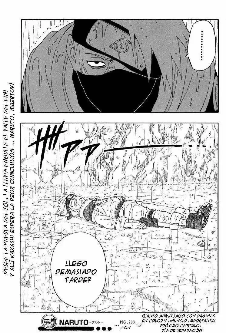 Naruto (1999) - Capítulo 233 - Página 18 - LectorTMOo