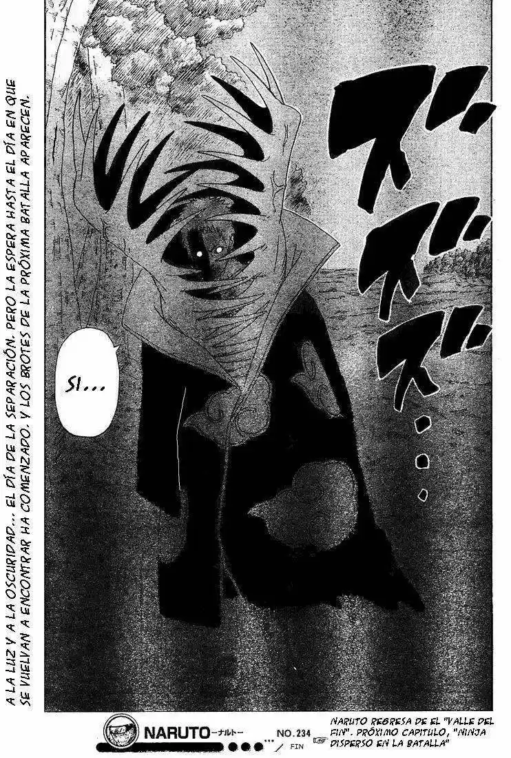 Naruto (1999) - Capítulo 234 - Página 19 - LectorTMOo