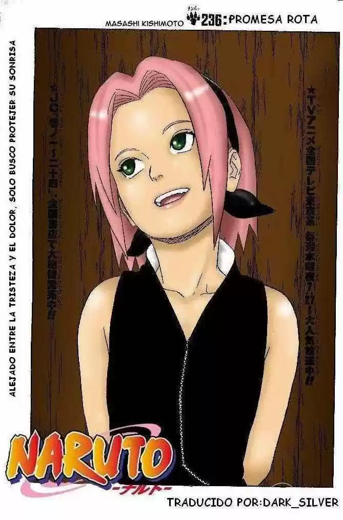 Naruto (1999) - Capítulo 236 - Página 1 - LectorTMOo