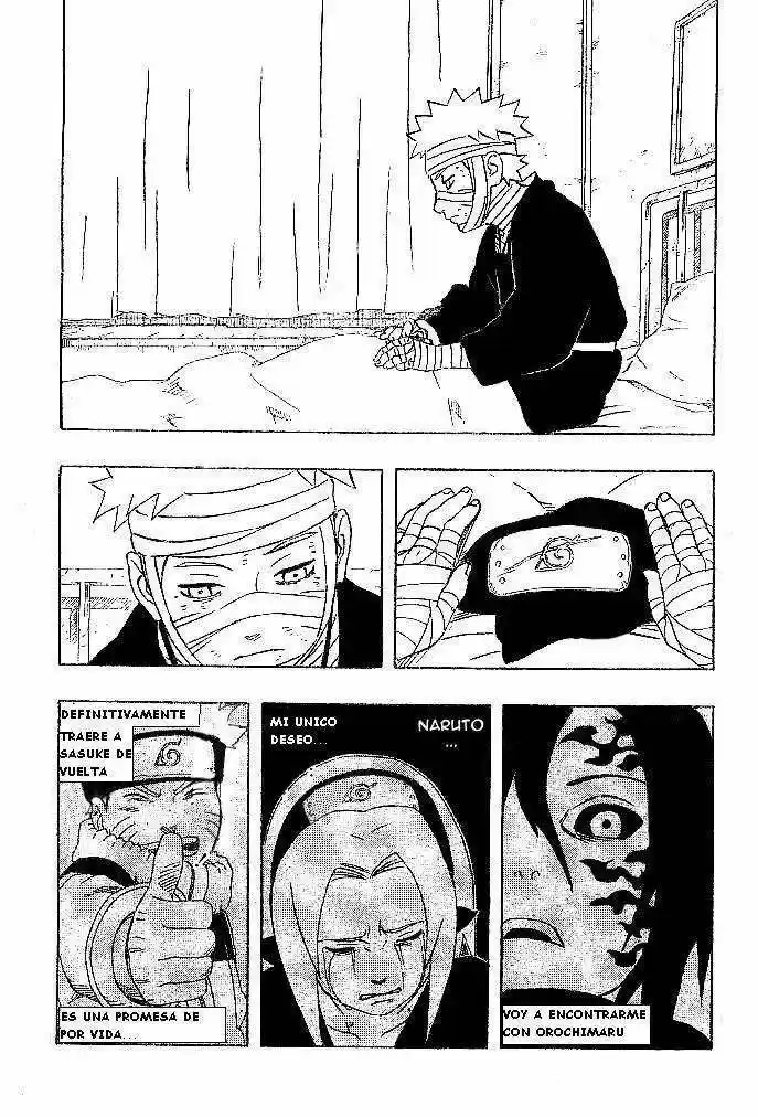 Naruto (1999) - Capítulo 236 - Página 5 - LectorTMOo