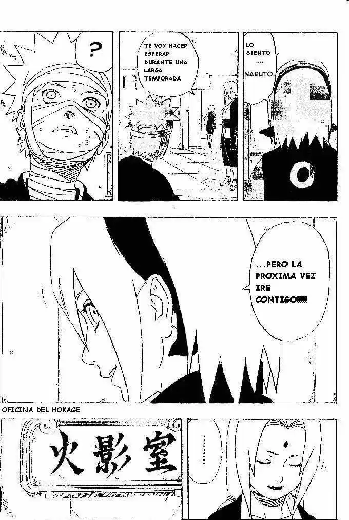 Naruto (1999) - Capítulo 236 - Página 17 - LectorTMOo