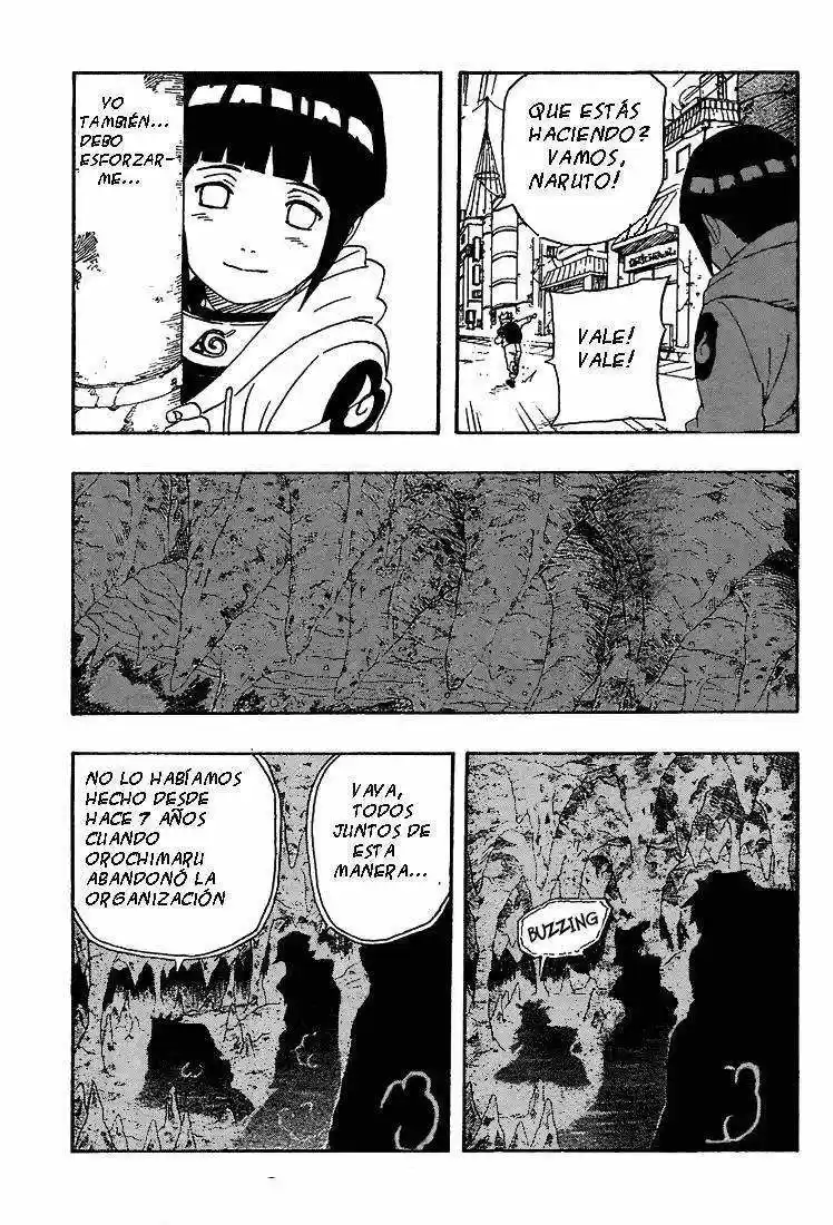 Naruto (1999) - Capítulo 238 - Página 17 - LectorTMOo