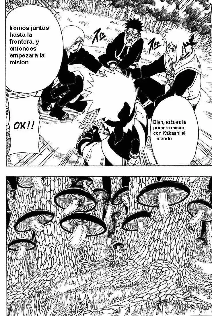 Naruto (1999) - Capítulo 239 - Página 14 - LectorTMOo