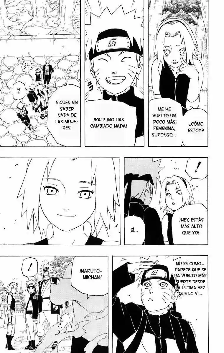 Naruto (1999) - Capítulo 245 - Página 19 - LectorTMOo