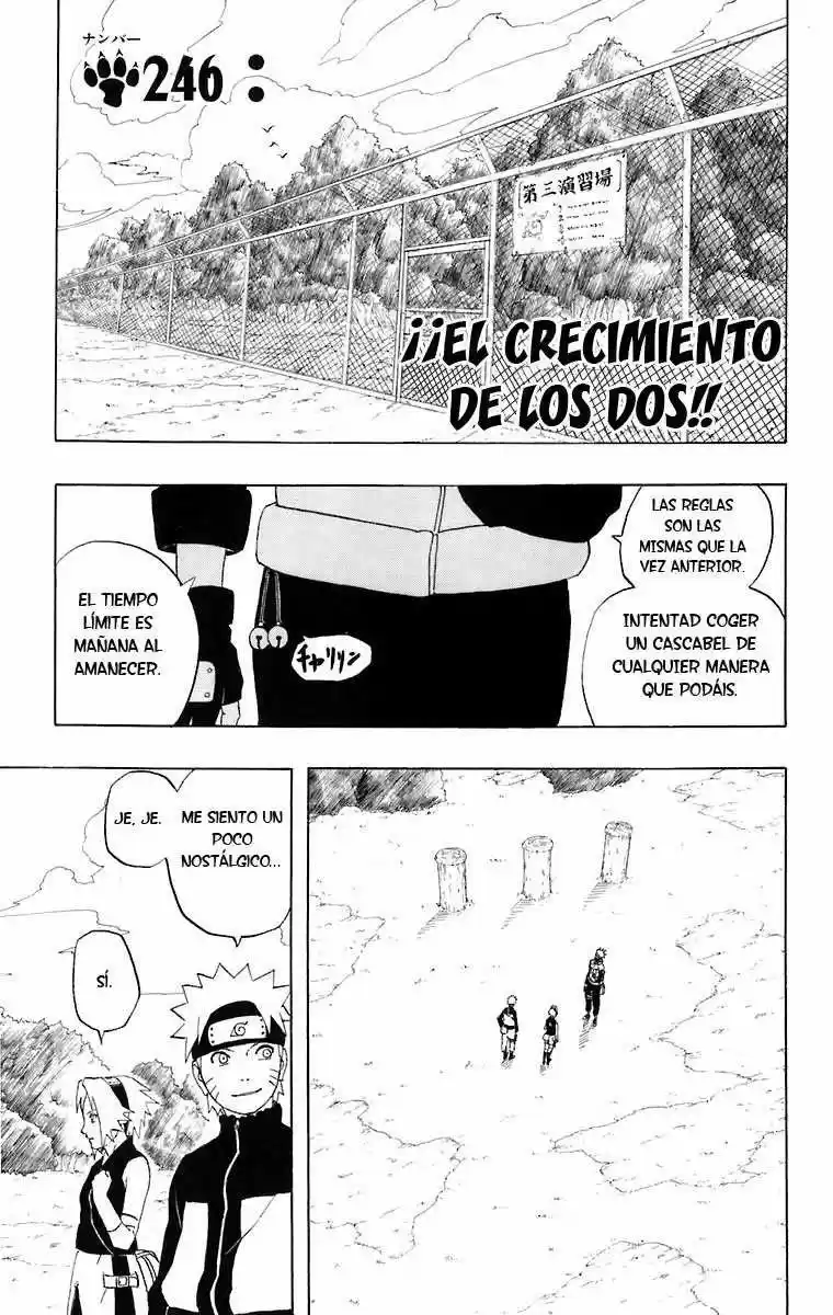Naruto (1999) - Capítulo 246 - Página 1 - LectorTMOo