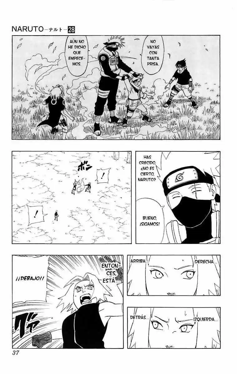 Naruto (1999) - Capítulo 246 - Página 9 - LectorTMOo