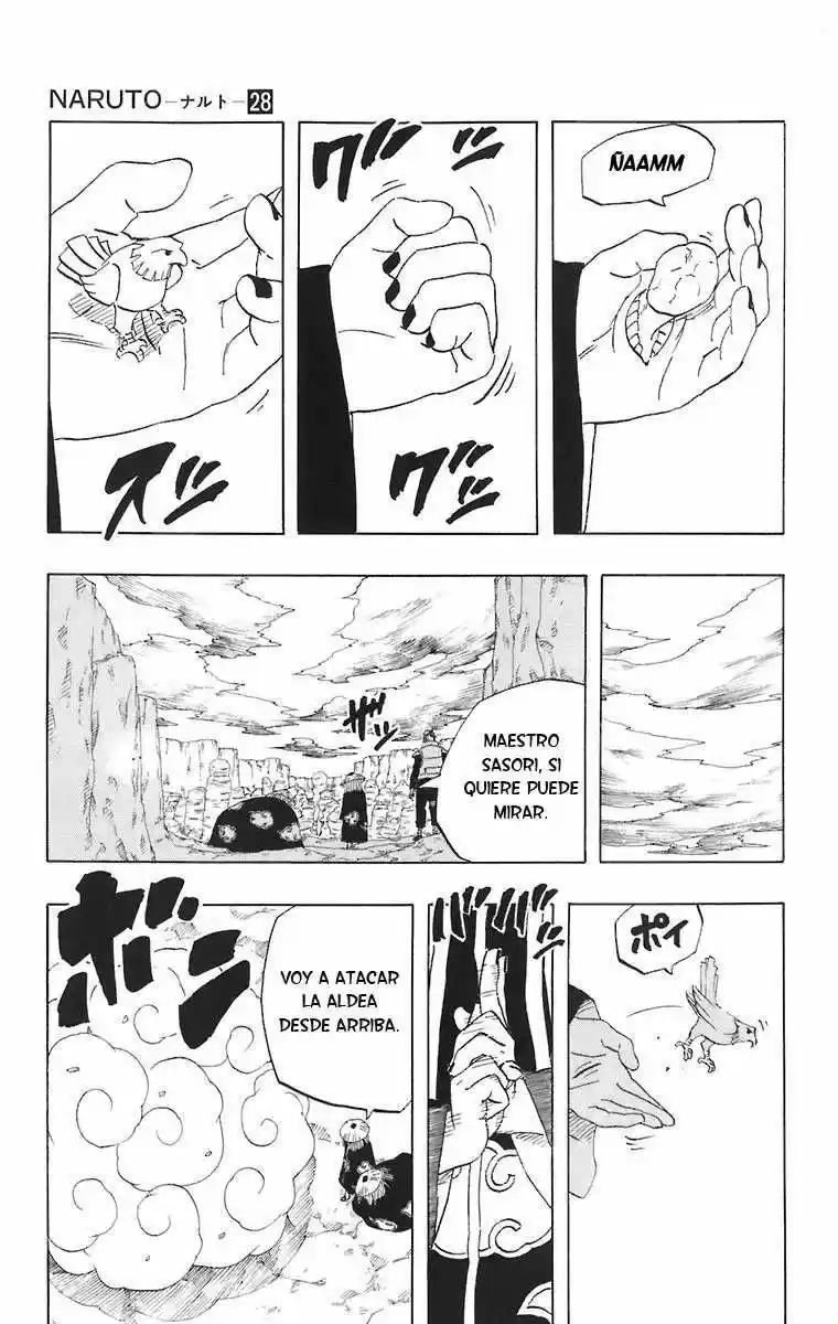 Naruto (1999) - Capítulo 247 - Página 17 - LectorTMOo