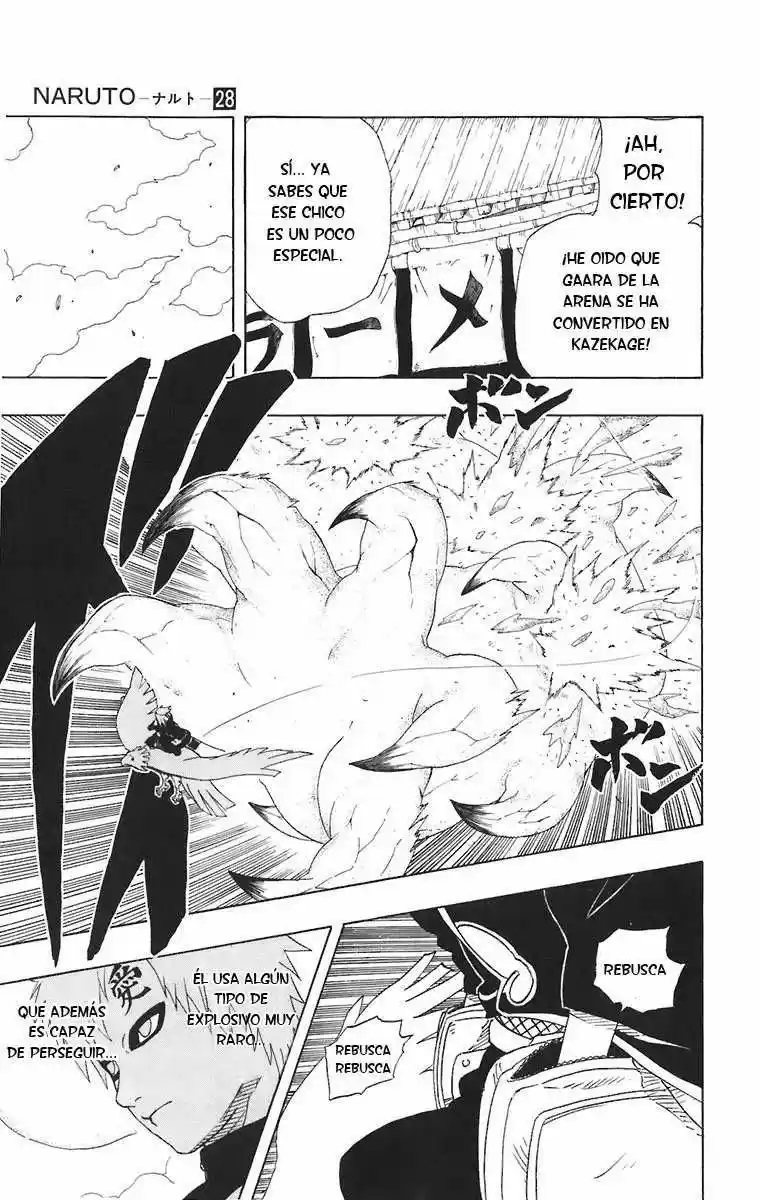 Naruto (1999) - Capítulo 248 - Página 13 - LectorTMOo
