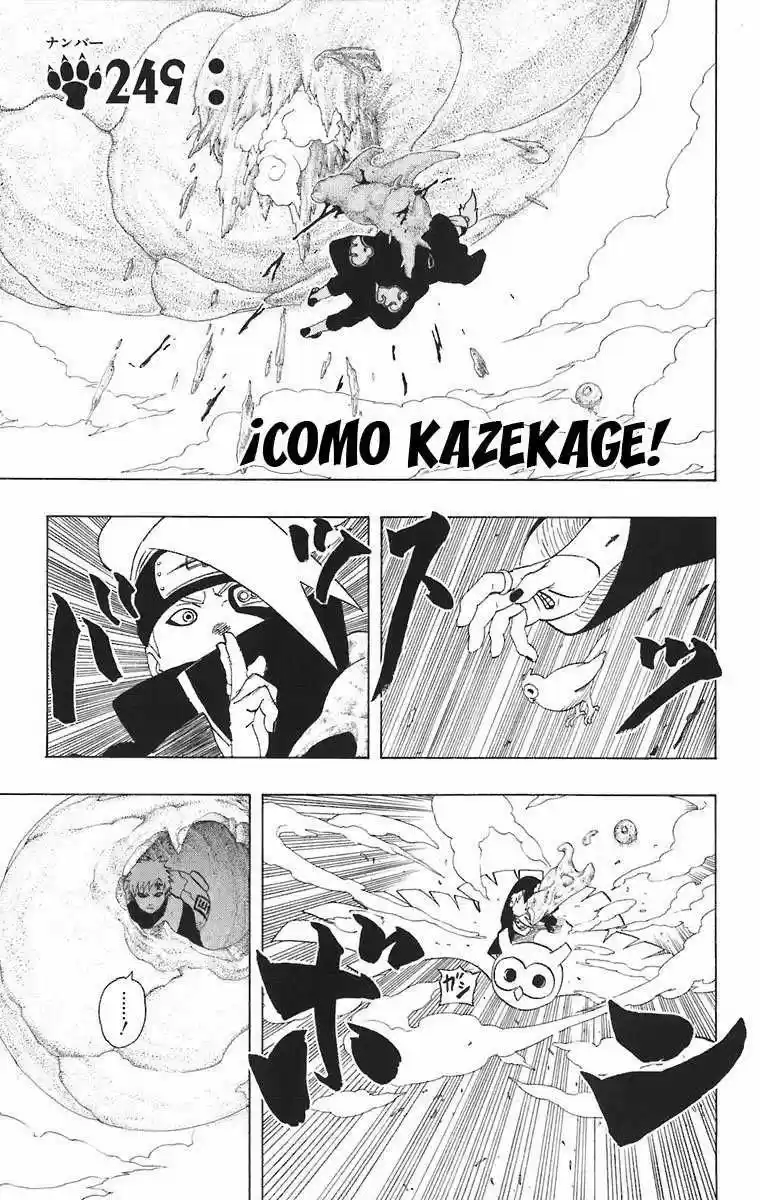 Naruto (1999) - Capítulo 249 - Página 1 - LectorTMOo