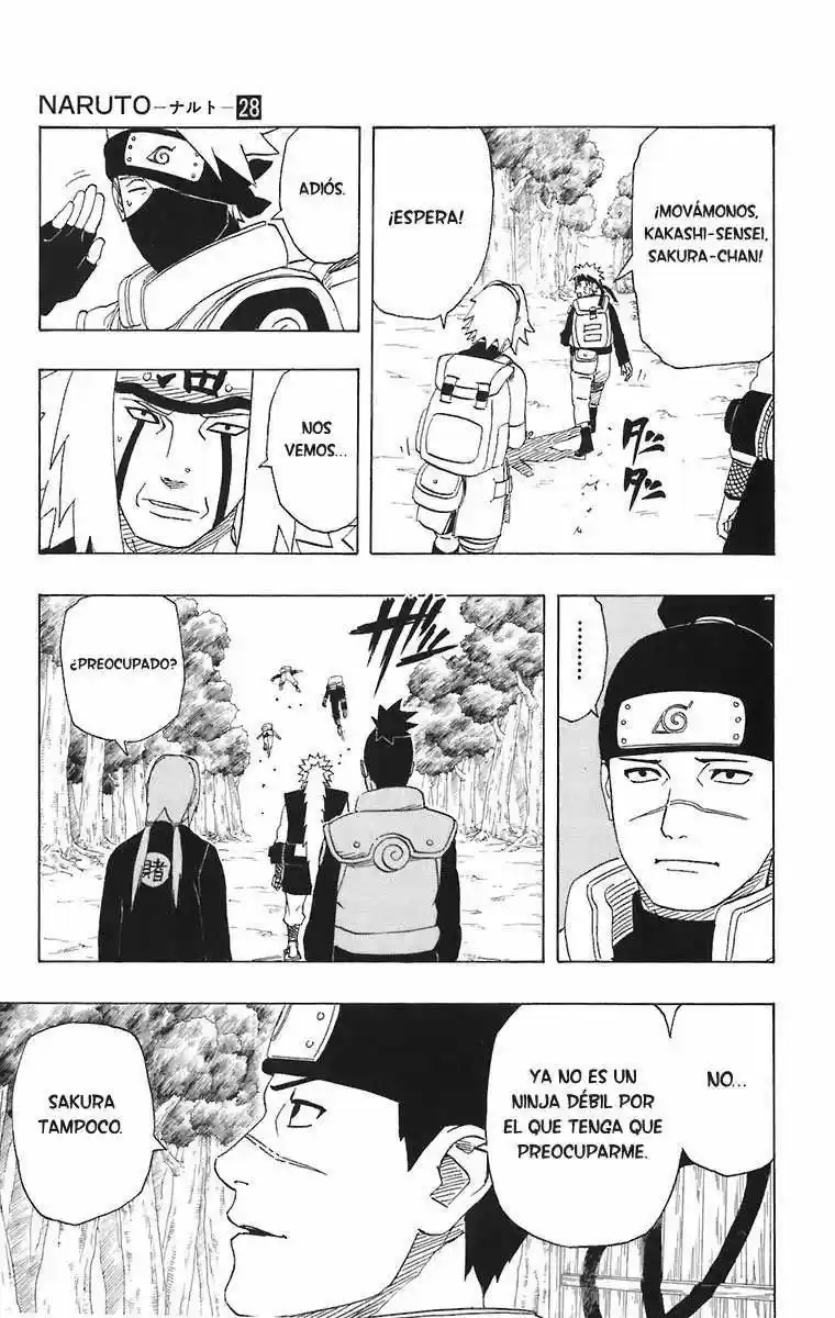 Naruto (1999) - Capítulo 251 - Página 15 - LectorTMOo