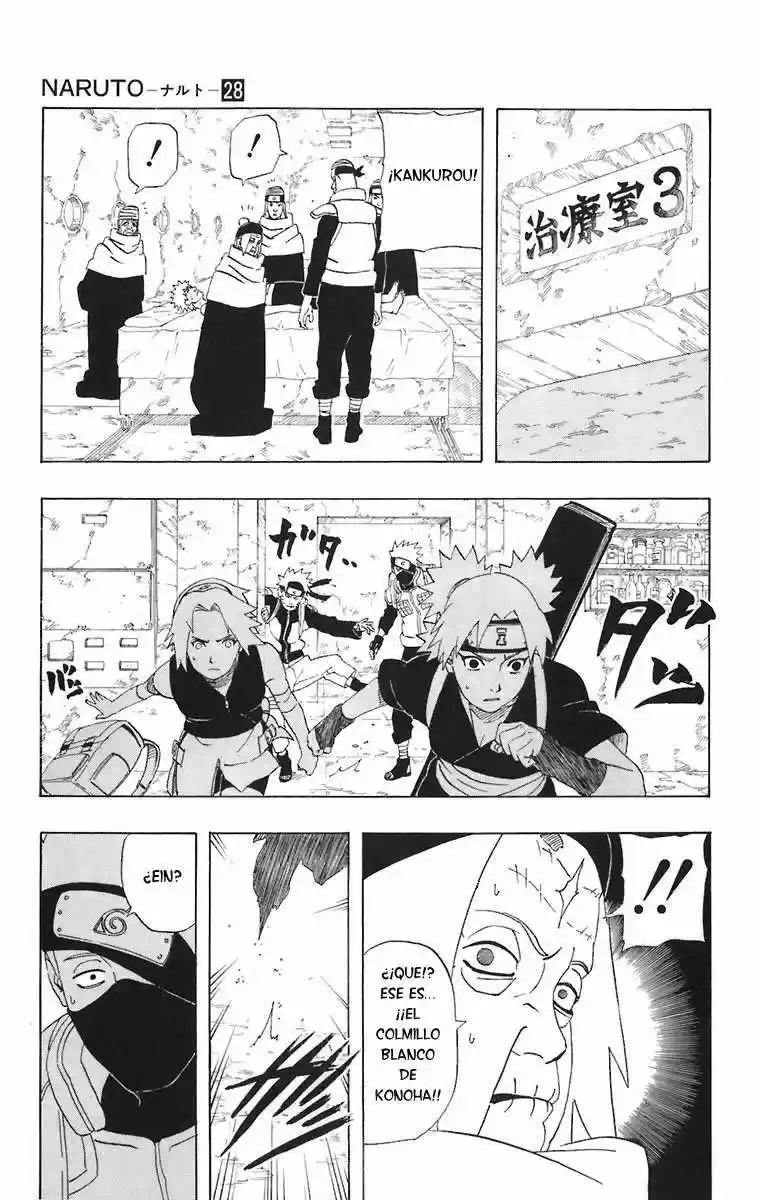 Naruto (1999) - Capítulo 253 - Página 11 - LectorTMOo