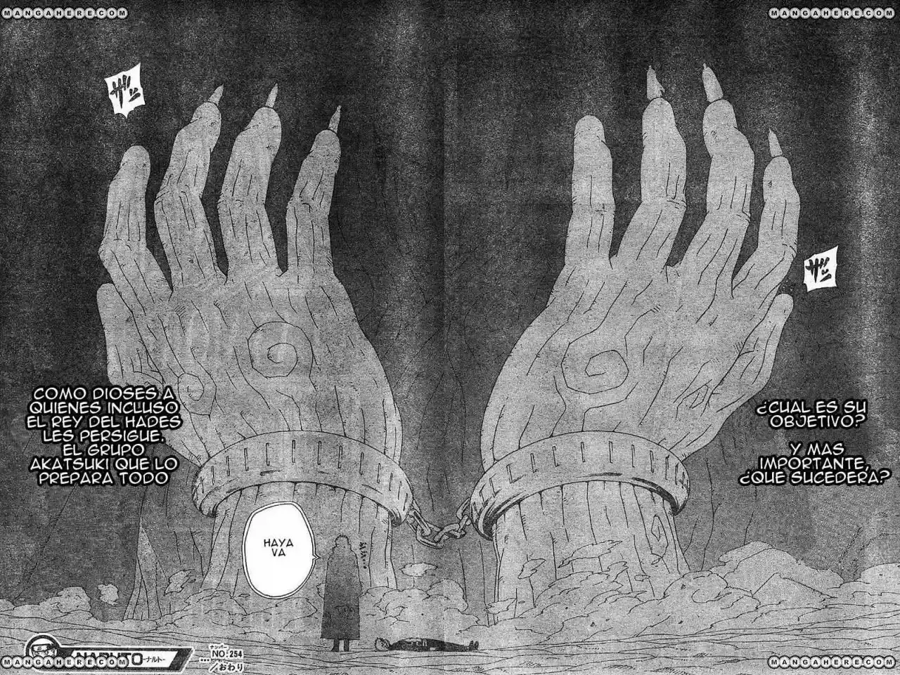 Naruto (1999) - Capítulo 254 - Página 17 - LectorTMOo