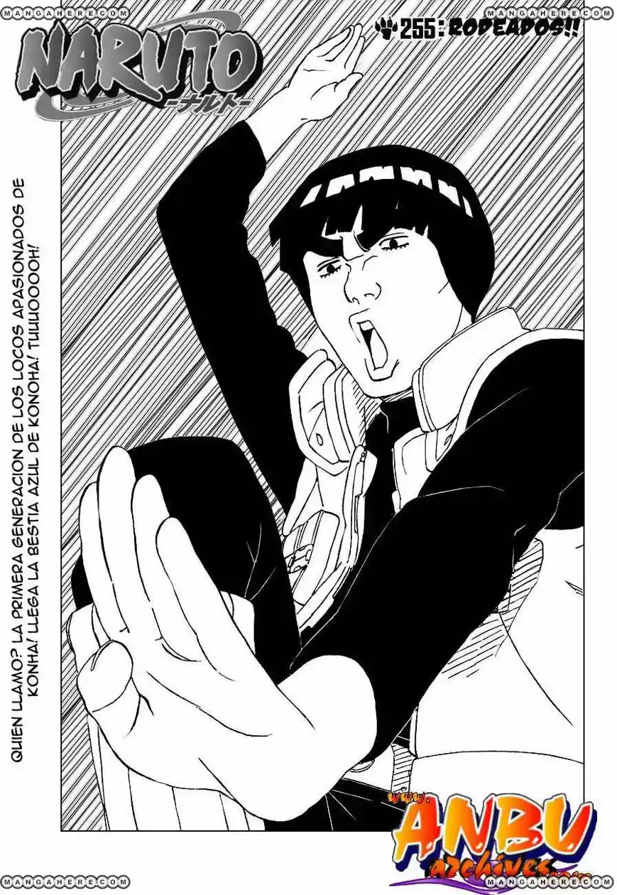 Naruto (1999) - Capítulo 255 - Página 1 - LectorTMOo