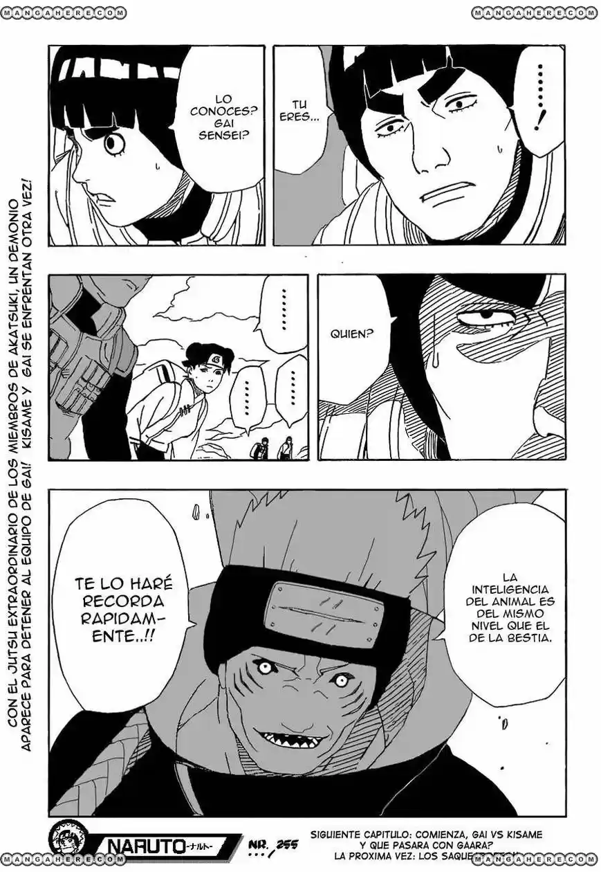 Naruto (1999) - Capítulo 255 - Página 19 - LectorTMOo