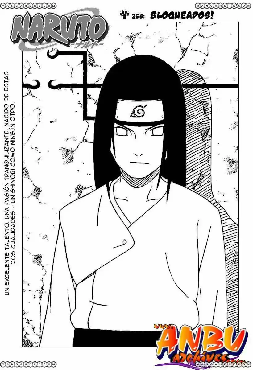 Naruto (1999) - Capítulo 256 - Página 1 - LectorTMOo