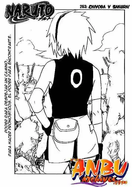 Naruto (1999) - Capítulo 265 - Página 1 - LectorTMOo