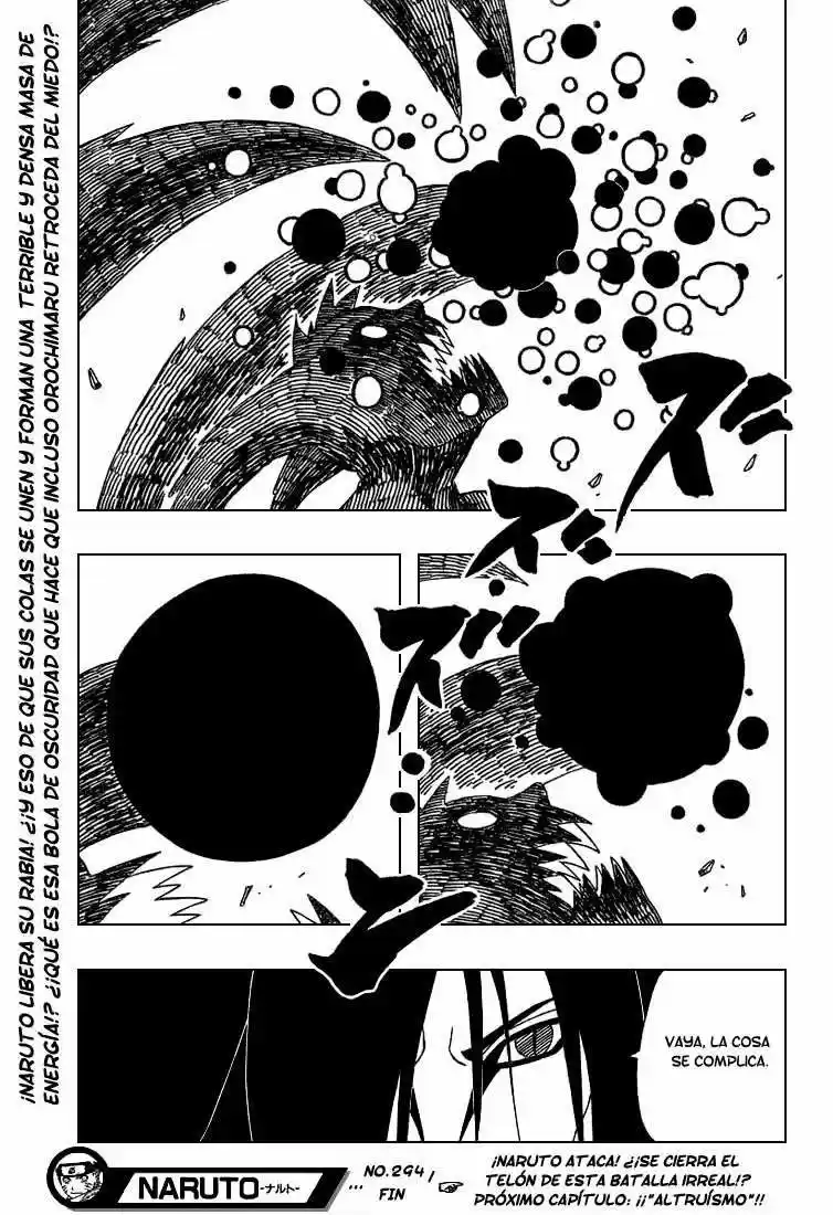Naruto (1999) - Capítulo 294 - Página 17 - LectorTMOo