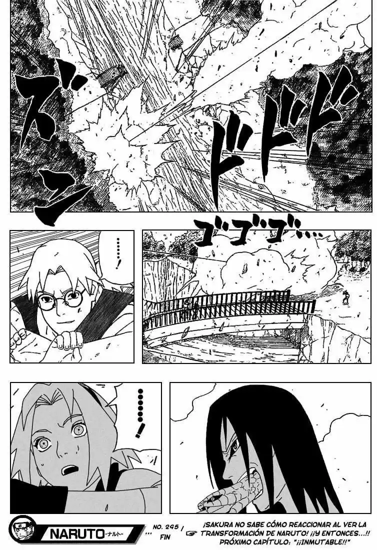 Naruto (1999) - Capítulo 295 - Página 14 - LectorTMOo