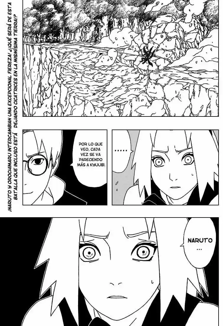 Naruto (1999) - Capítulo 295 - Página 15 - LectorTMOo