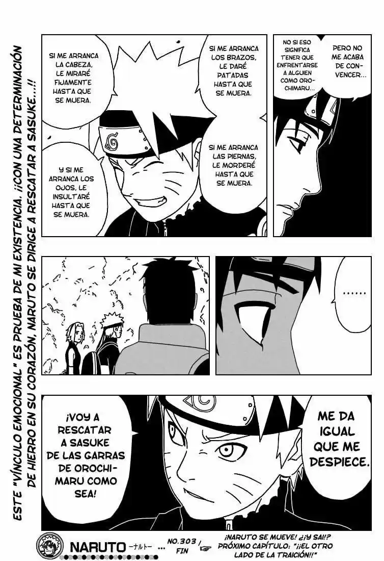 Naruto (1999) - Capítulo 303 - Página 17 - LectorTMOo