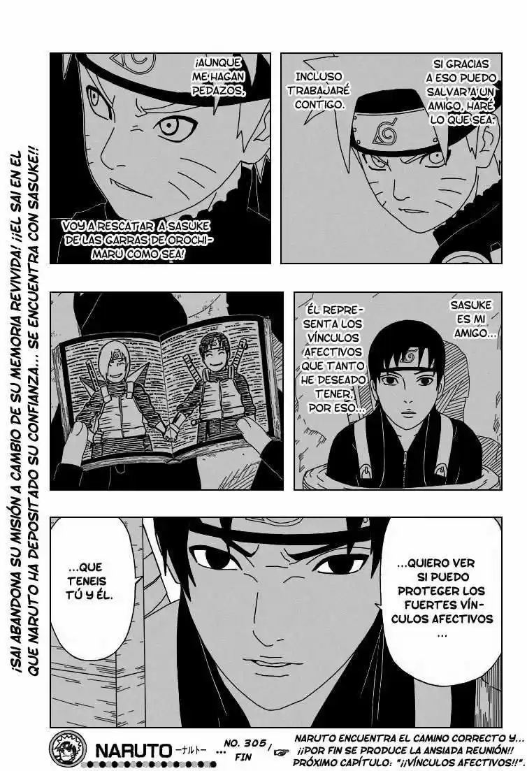 Naruto (1999) - Capítulo 305 - Página 17 - LectorTMOo