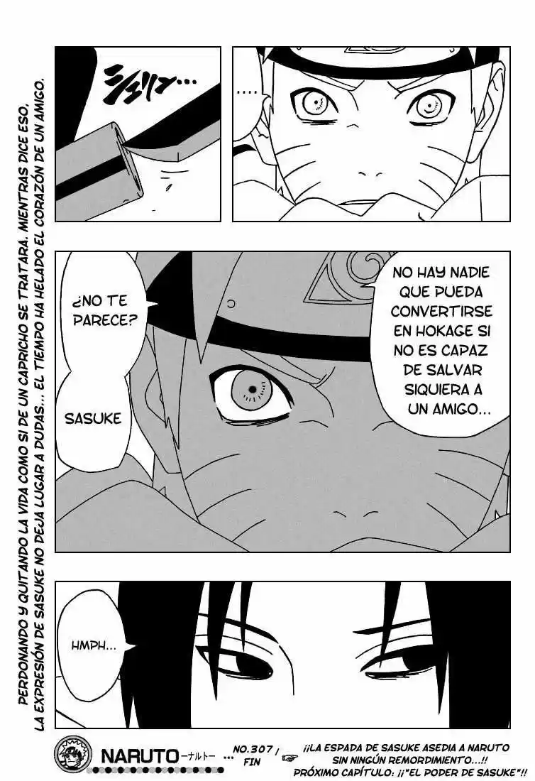 Naruto (1999) - Capítulo 307 - Página 17 - LectorTMOo