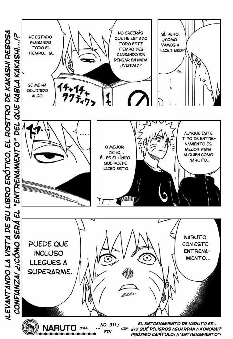 Naruto (1999) - Capítulo 311 - Página 17 - LectorTMOo