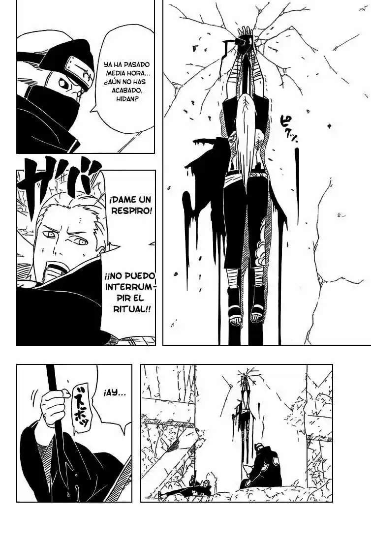 Naruto (1999) - Capítulo 313 - Página 15 - LectorTMOo