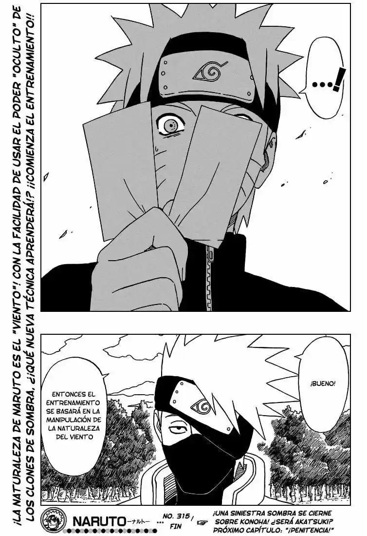 Naruto (1999) - Capítulo 315 - Página 17 - LectorTMOo