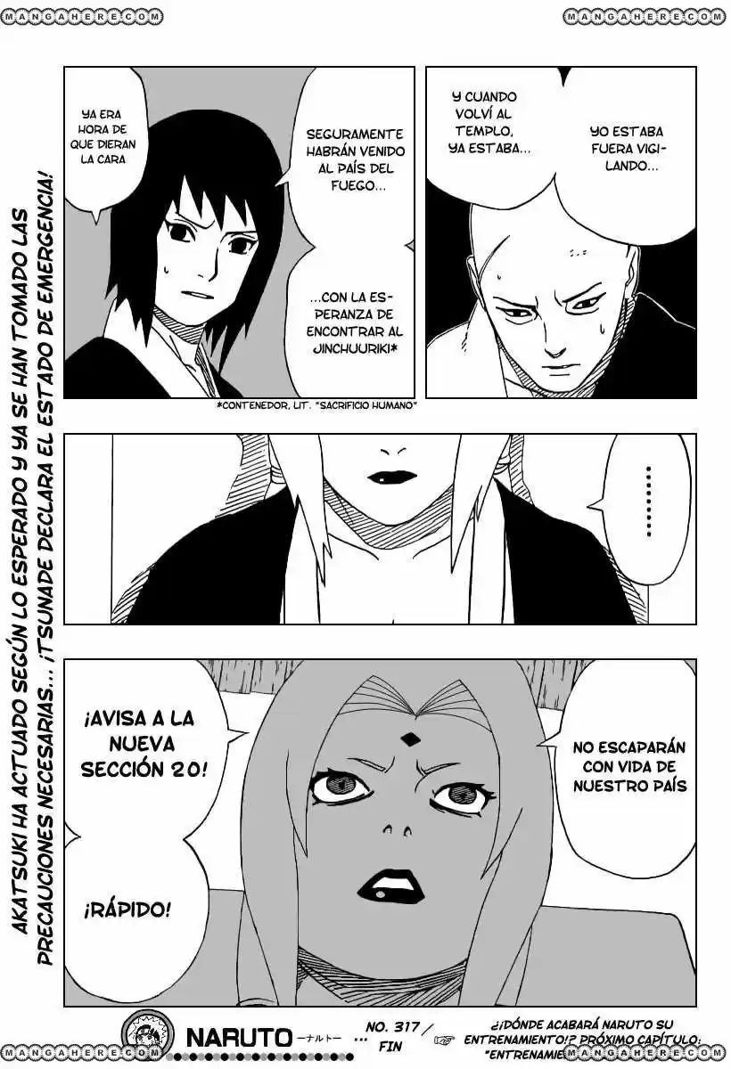 Naruto (1999) - Capítulo 317 - Página 19 - LectorTMOo
