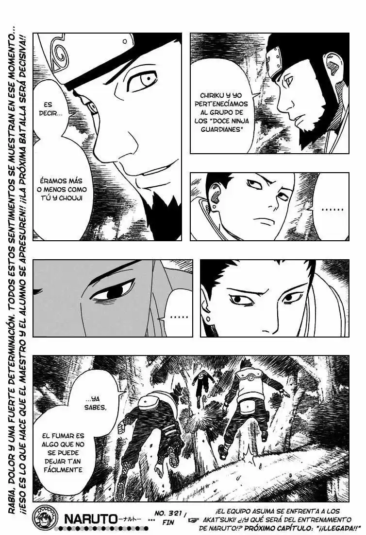 Naruto (1999) - Capítulo 321 - Página 17 - LectorTMOo