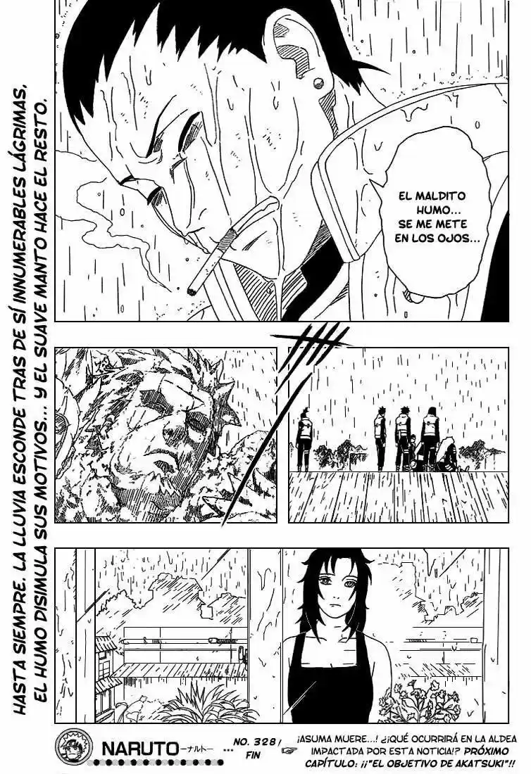 Naruto (1999) - Capítulo 328 - Página 17 - LectorTMOo