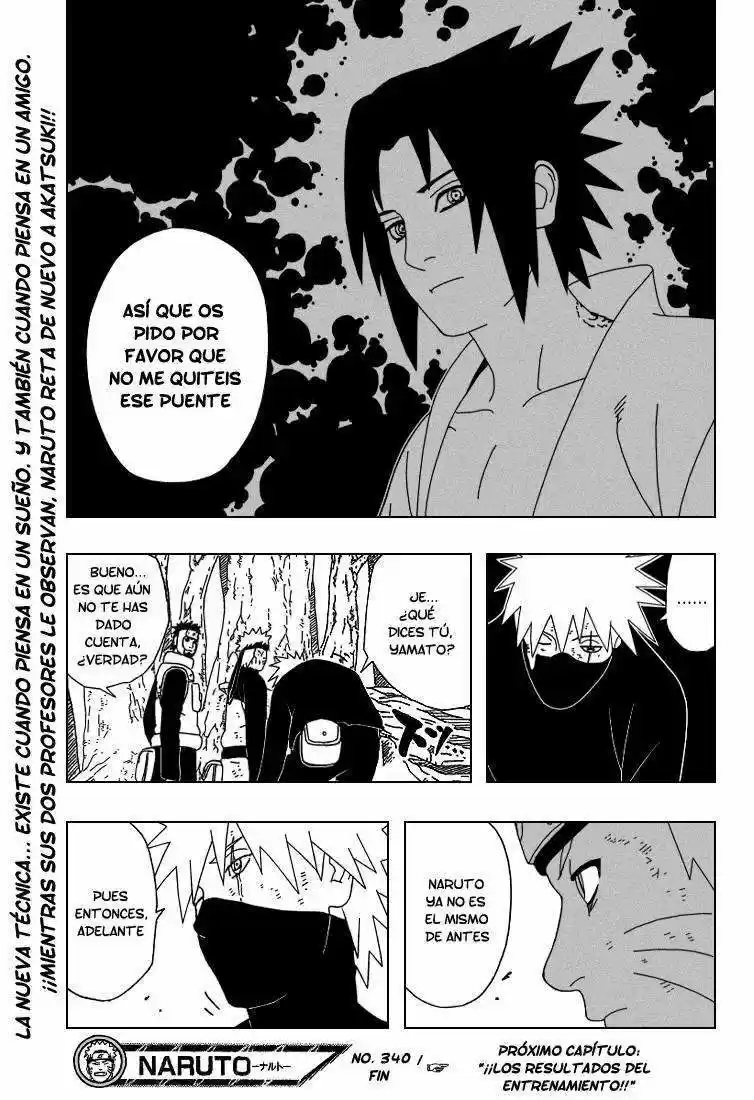 Naruto (1999) - Capítulo 340 - Página 19 - LectorTMOo