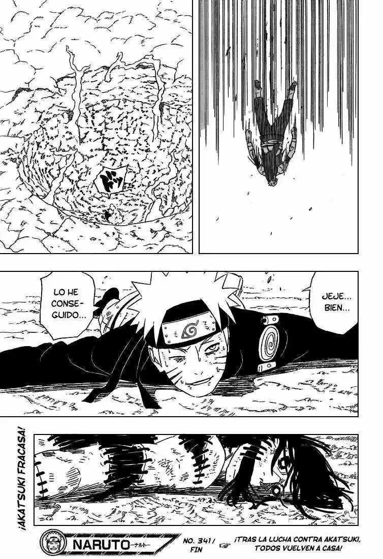 Naruto (1999) - Capítulo 341 - Página 17 - LectorTMOo