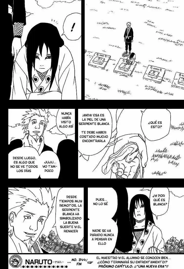 Naruto (1999) - Capítulo 344 - Página 17 - LectorTMOo